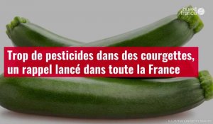 VIDÉO. Trop de pesticides dans des courgettes, un rappel lancé dans toute la France
