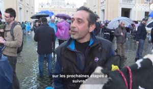 VIDÉO. Les agriculteurs en colère amènent une vache au Vatican