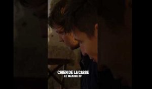 Making of - CHIEN DE LA CASSE