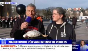 Nagui manifeste pour dénoncer les dérives de certains élevages français : "Les poulets ne peuvent...