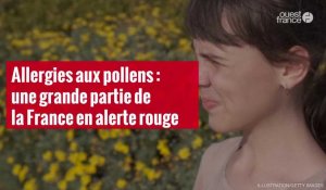 VIDÉO. Allergies aux pollens : une grande partie de la France en alerte rouge
