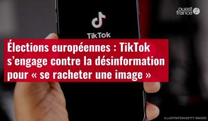 VIDÉO. Élections européennes : TikTok s’engage contre la désinformation pour « se racheter une image »
