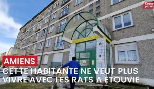 Amiens : "Je n'en peux plus de vivre avec les rats"