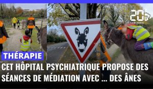 Cet hôpital psychiatrique propose des séances de médiation avec des ânes