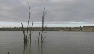 Grandes marées: la Garonne déborde à Bordeaux