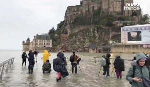 VIDÉO. Les pieds dans l'eau, des centaines de curieux observent le Mont-Saint-Michel devenir une île