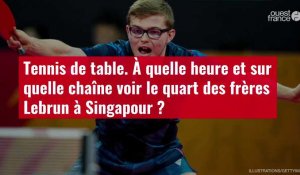 VIDÉO. Tennis de table. À quelle heure et sur quelle chaîne voir le quart des frères Lebrun