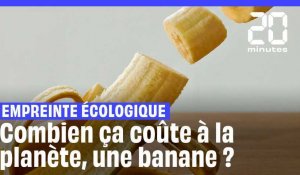 Empreinte écologique : Combien ça coûte à la planète quand on mange une banane ?