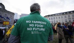 Les politiques de l'UE mettent en péril l'indépendance alimentaire, selon un sondage