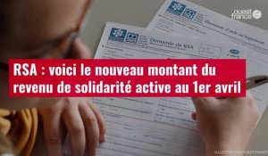 VIDÉO. RSA : voici le nouveau montant du revenu de solidarité active au 1er avril