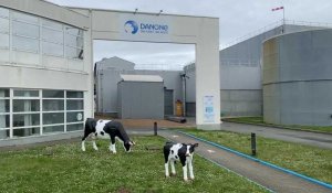 25 salariés de Danone Bailleul parcourent 62 km jusqu’à Blédina Steenvoorde