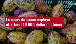 VIDÉO. Le cours du cacao explose et atteint 10 000 dollars la tonne