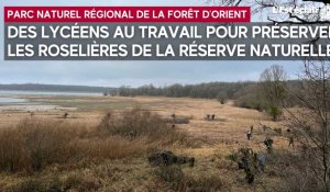 Des élèves du lycée agricole de Sainte-Maure ont mené un chantier de restauration écologique