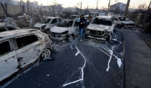 Les violents incendies en cours ont déjà fait au moins 51 morts au Chili