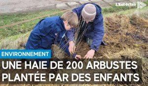 Une haie de 200 arbustes plantée par des enfants à la Grange aux Bois à Polisy