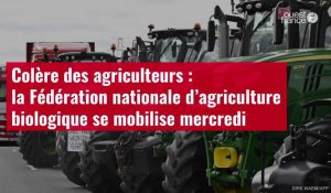 VIDÉO. Colère des agriculteurs : la Fédération nationale d’agriculture biologique se mobil
