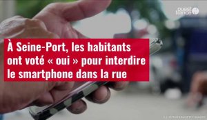 VIDÉO. À Seine-Port, les habitants ont voté « oui » pour interdire le smartphone dans la rue