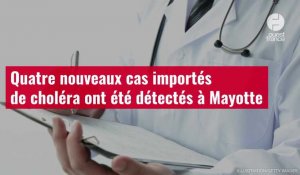VIDÉO. Quatre nouveaux cas importés de choléra ont été détectés à Mayotte