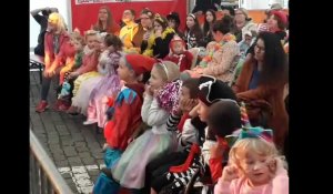 Tournai spectacle carnaval des enfants