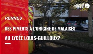 VIDÉO. Des piments à l'origine d'une dizaine de malaise au lycée Louis-Guilloux de Rennes