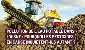 Pollution de l'eau potable dans l'Aisne : pourquoi les pesticides en cause inquiètent-ils autant ?  