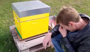 David Grancourt explique le fonctionnement de la ruche du Lycée Degrugillier à Auchel