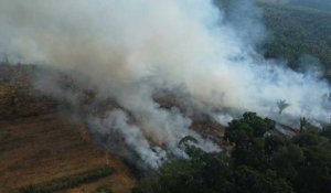 Les pompiers luttent contre les incendies dans l'État brésilien de l'Amazonas
