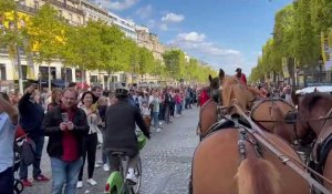 Route du poisson : le défilé des équipes sur les Champs-Élysées vécu de l’intérieur !