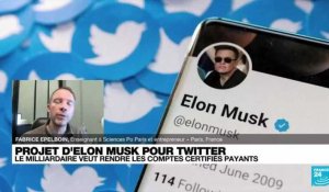 Twitter : "Elon Musk n’est pas dans un enjeu financier, il est dans un enjeu de pouvoir"