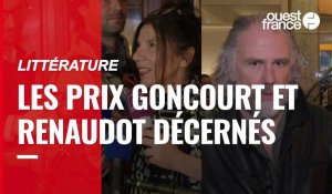 VIDÉO. Littérature : les prix Goncourt et Renaudot 2022 ont été attribués