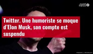 VIDÉO. Twitter. Une humoriste se moque d’Elon Musk, son compte est suspendu