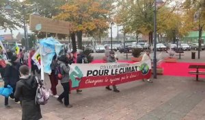 Le Collectif arrageois pour le climat a manifesté ce samedi 12 novembre à Arras