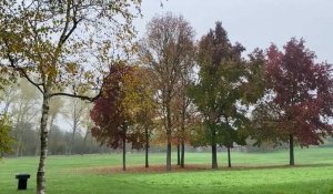 Arras: couleurs d’automne au parc des Grandes Prairies 