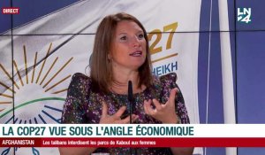 La Cop27 sous l'angle économique