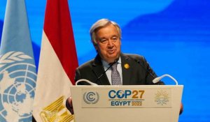 COP27 : l'ONU dénonce le greenwashing sur la neutralité carbone et trace les "lignes rouges"