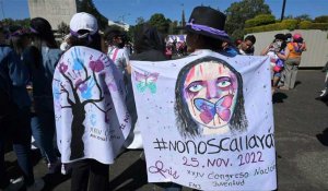 Violences faites aux femmes: des manifestations à travers le monde
