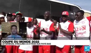 Coupe du monde 2022 : Le Senegal s'incline 2-0 face aux Pays-Bas