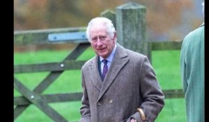 Harry & Meghan sur Netflix : le roi Charles III a pris sa décision