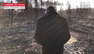 VIDÉO. Au sud du Mans, une forêt à reconstruire après l'incendie de l'été 2022