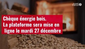 VIDÉO. Chèque énergie bois : la plateforme sera mise en ligne le mardi 27 décembre