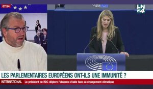 Les parlementaires européens ont-ils une immunité?