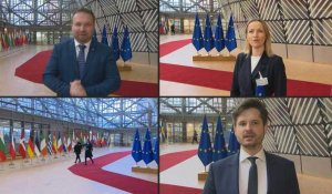 Arrivée des ministres de l'UE chargés de l'Environnement avant une réunion à Bruxelles