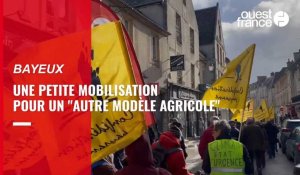 VIDÉO : À Bayeux, une marche pour "un autre modèle agricole"