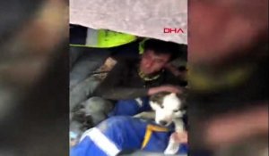 Des secouristes turcs sauvent un chien piégé trois semaines après le séisme