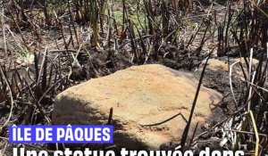 Île de Pâques : Un moai a été trouvé dans une lagune asséchée #shorts 