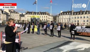 VIDÉO. L214 manifeste contre la maltraitance animale à Vannes