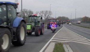 Des colonnes de tracteurs d’agriculteurs flamands à Bruxelles
