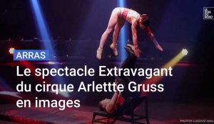 Le spectacle Extravagant du cirque Arlette-Gruss à Arras en images