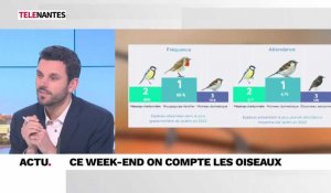 Nantes Soir : Précarité énergétique et comptage des oiseaux de jardin