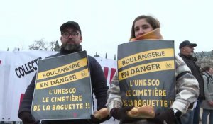 "Bouclier tarifaire pour tous": les boulangers manifestent à Paris